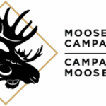 Moose Hide Campaign